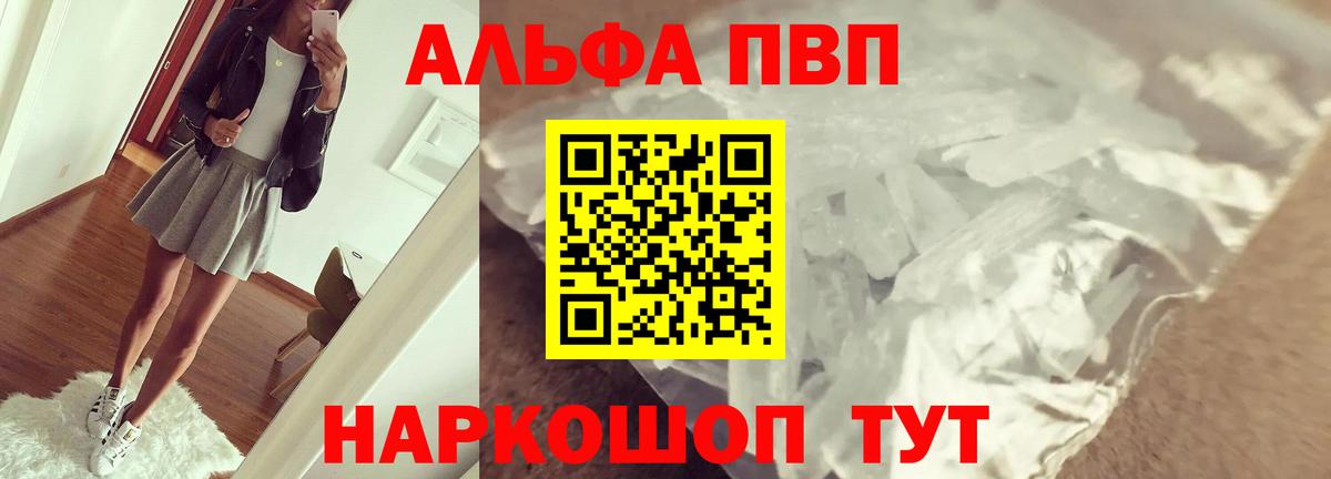 A PVP СК КРИС Тара