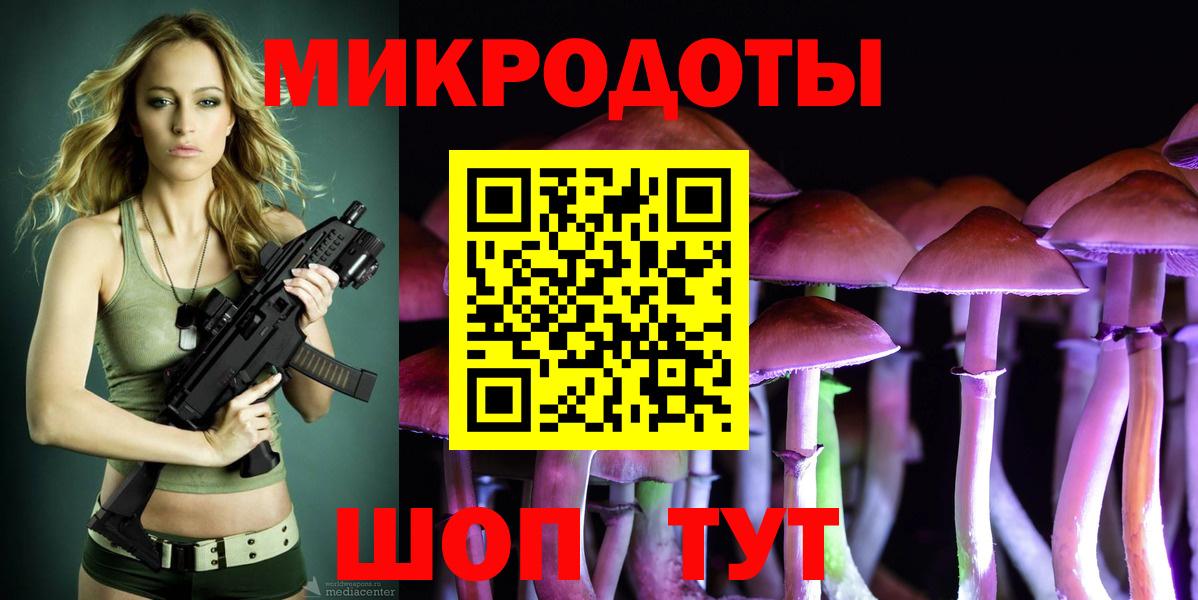 Тара  купить наркотики сайты  Галлюциногенные грибы мицелий  Вход с VPN  Галлюциногенные грибы Psilocybine cubensis 